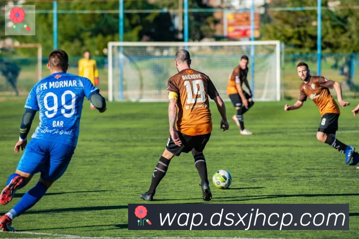 博亚appAPP 封面图