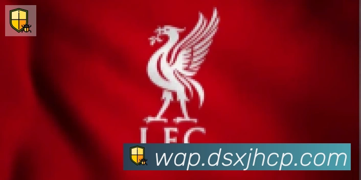 博亚app合作伙伴